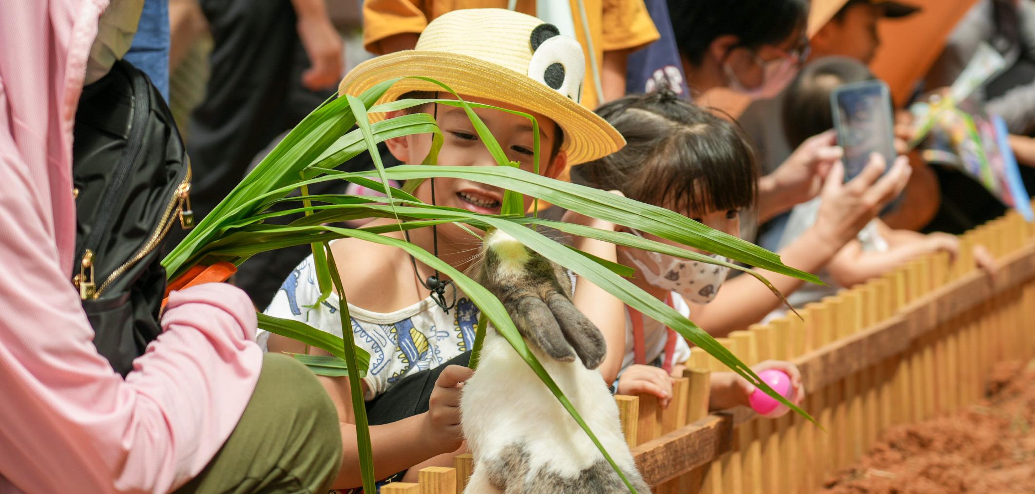 可愛動物互動