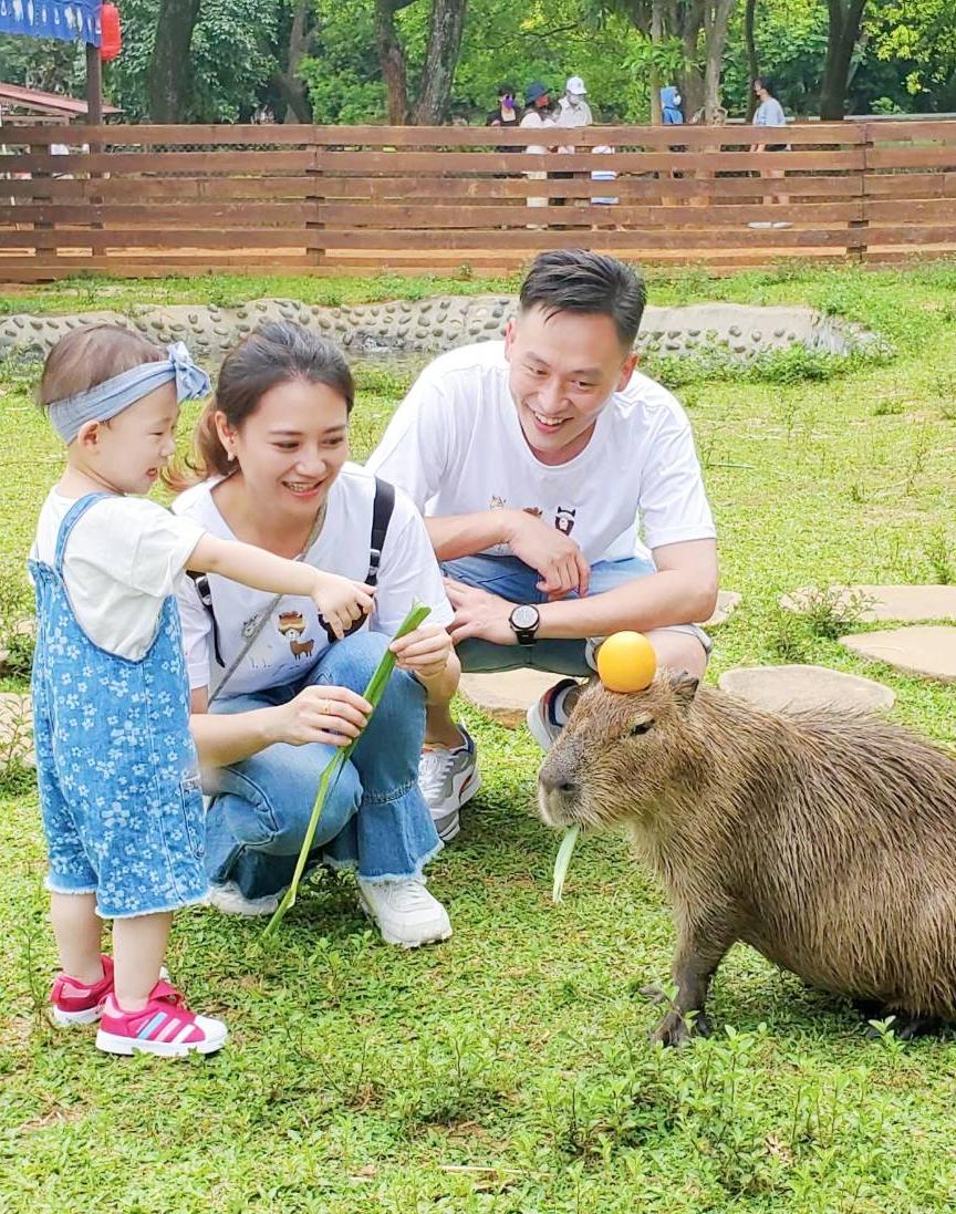 萌萌村體驗